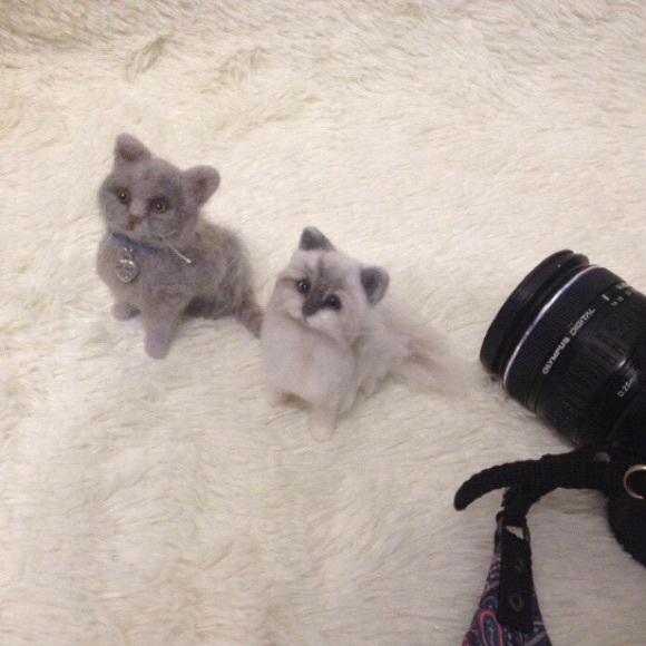 Other - Custom pet wool felt cat, best gift for everyone